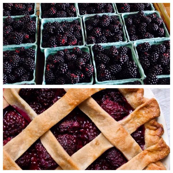 Fresh blackberries from Vanzant's make an amazing pie! Who wants ice cream on theirs?