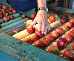 It's APPLE time in the Ozark's and at Vanzant's.