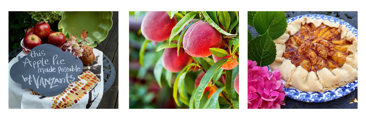 slider image with apple, peach