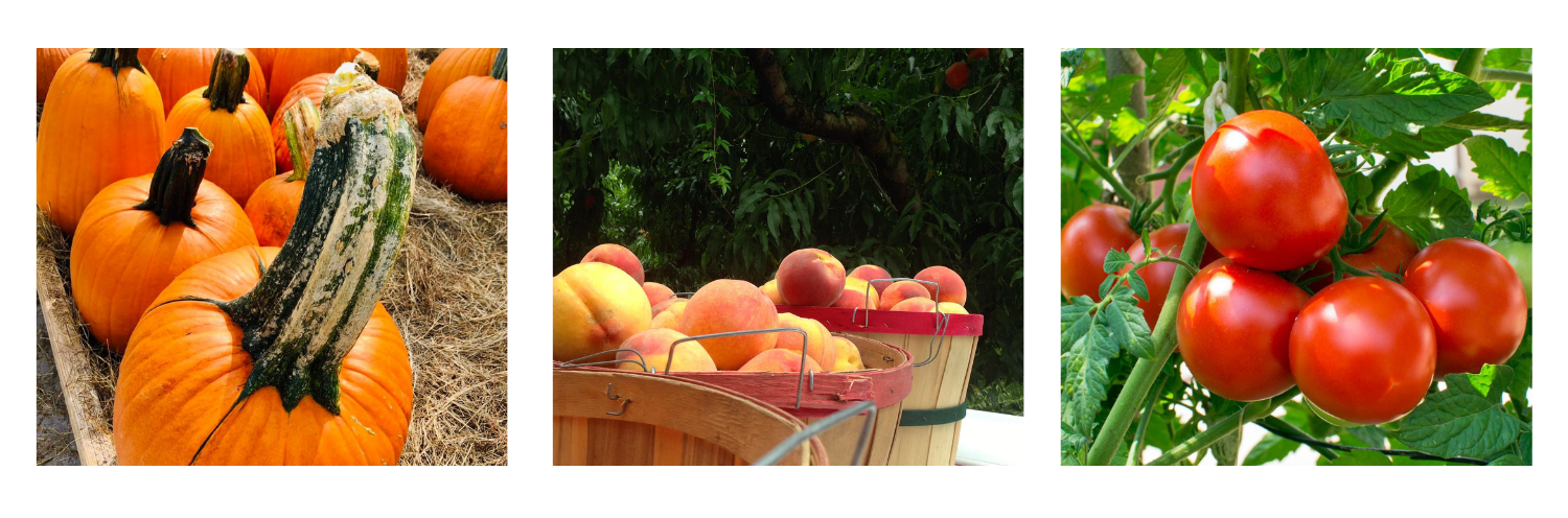 Collage of pumpkins, peaches and red tomatoes